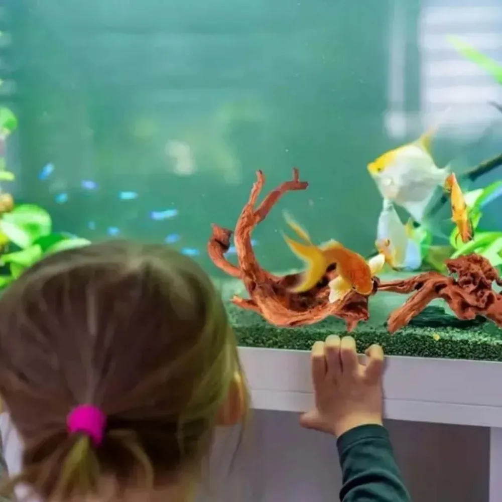 Planted Aquarium With Driftwood - Nowy Naturalny Mały Drzewny Koralik z