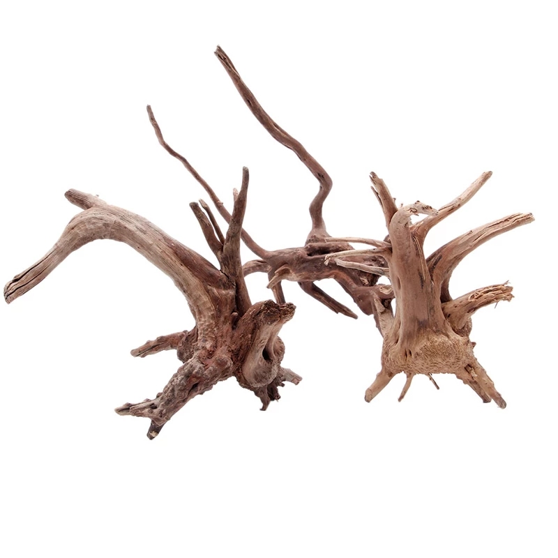 Planted Aquarium With Driftwood - Dekoracja do akwarium i terrarium: naturalny