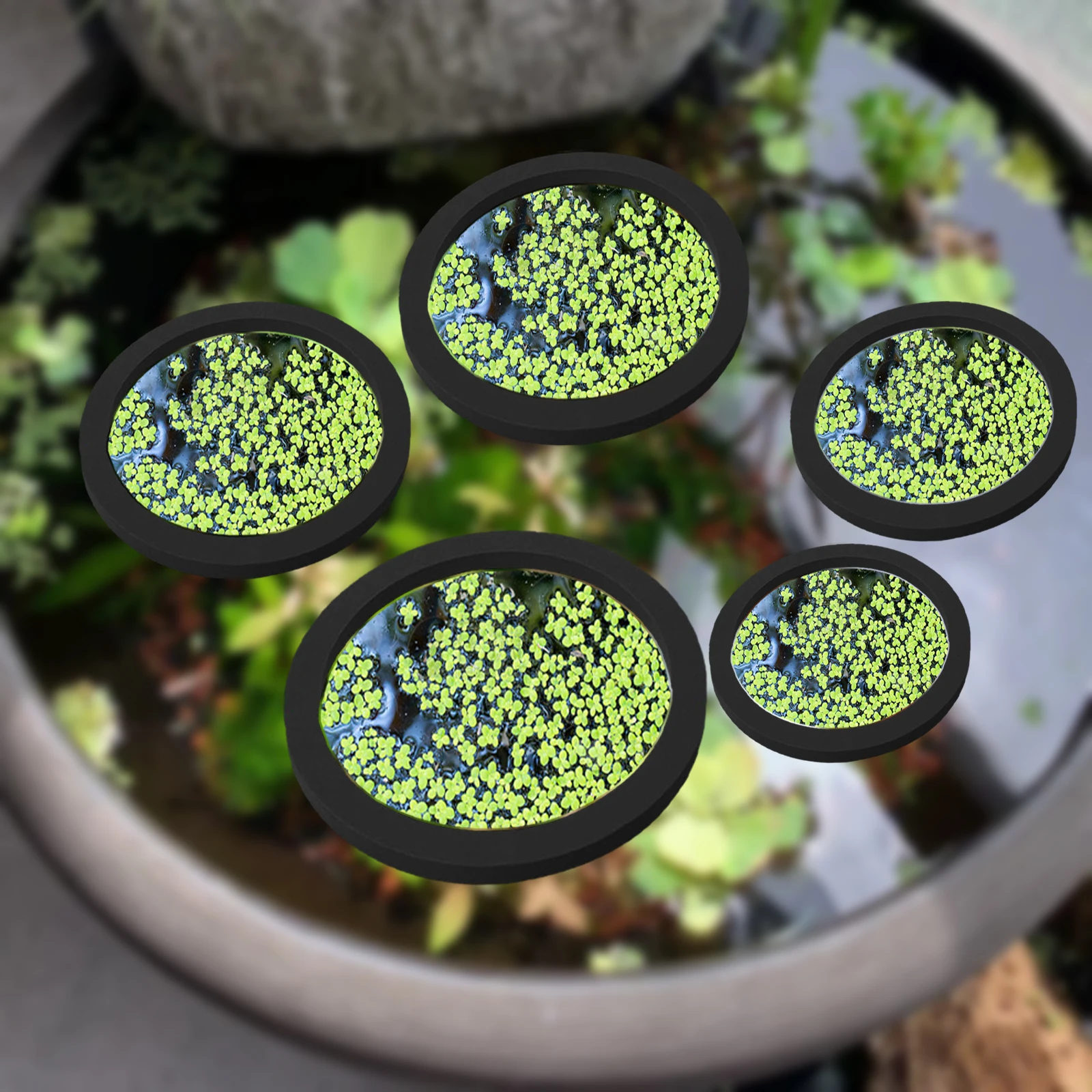 Aquarium Planted - 5Pcs EVA Pierścień do karmienia ryb