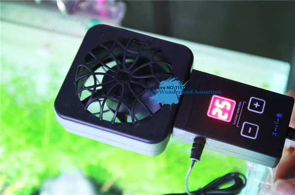 Aquarium Plant Nursery - Mini nano clip powiesić na czujniku