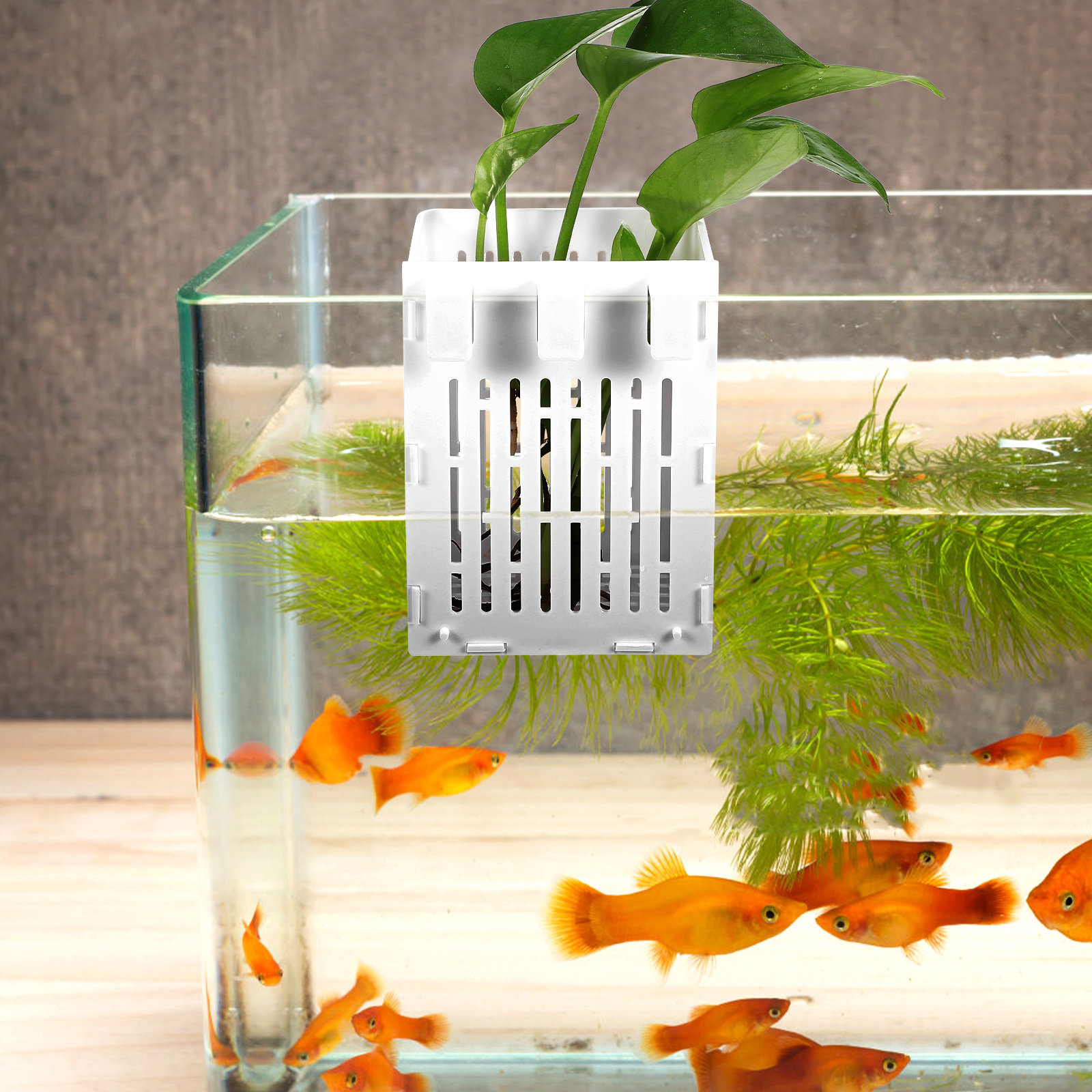 Aquarium Planted Set Up - 2 szt. Wiszący koszyk na rośliny