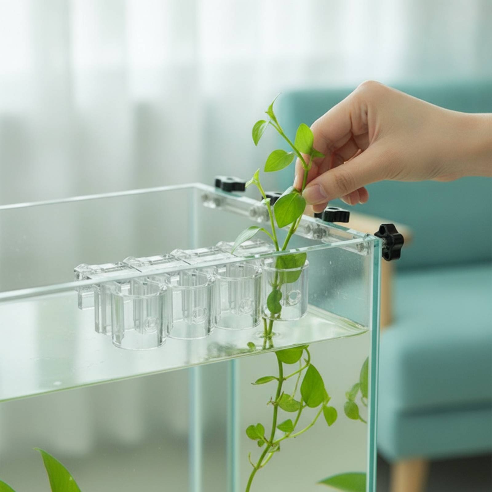 6 sztuk przezroczystych klipsó – Aquarium Planted recenzja i cena