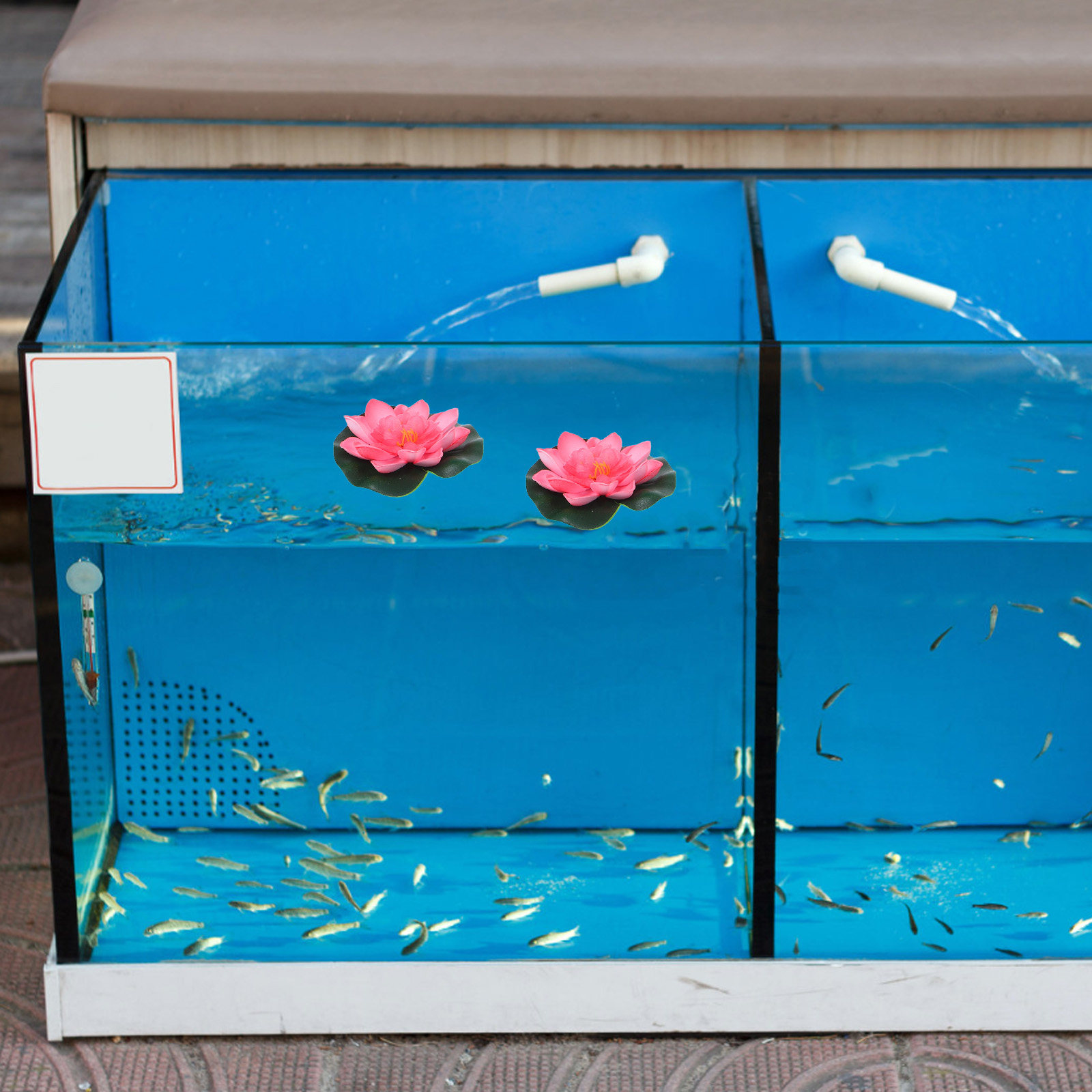 12 sztuk sztucznych pływającyc – Aquarium Planted recenzja i cena