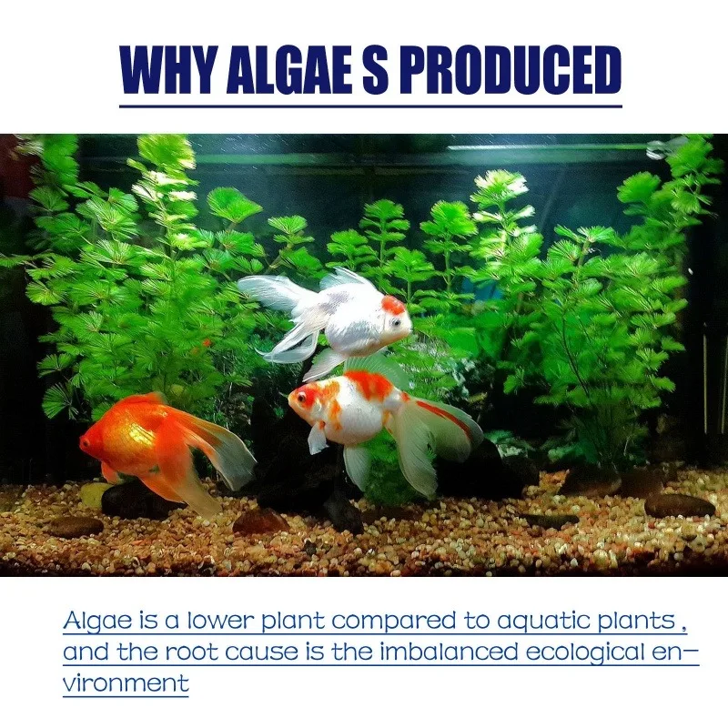 50g Wysokowydajny środek do zw – Aquarium Planted recenzja i cena