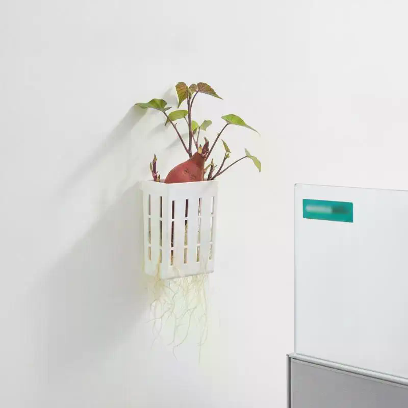 1 szt. Koszyk wspierający do h – Aquarium Planted recenzja i cena