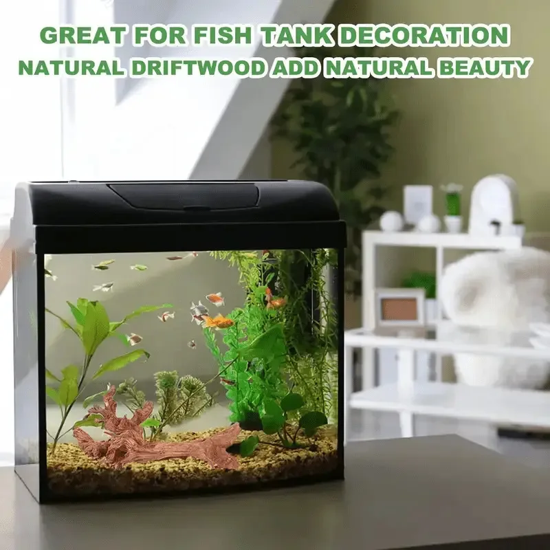 Nowy Naturalny Mały Drzewny Ko – Planted Aquarium With Driftwood recenzja i cena