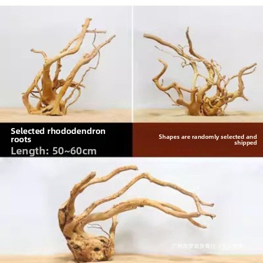 Naturalne gałęzie z naturalneg – Planted Aquarium With Driftwood recenzja i cena
