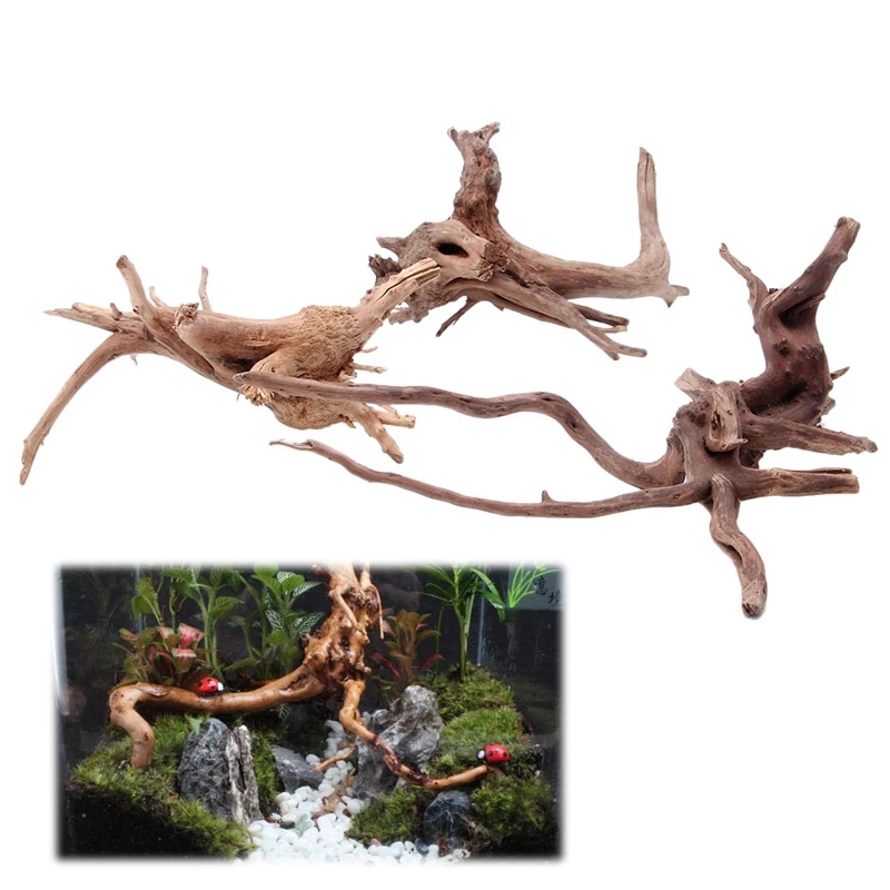 Dekoracja do akwarium i terrar – Planted Aquarium With Driftwood recenzja i cena