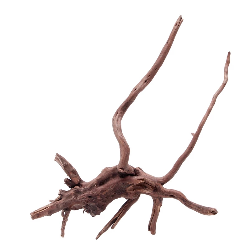 Dekoracja do akwarium i terrar – Planted Aquarium With Driftwood recenzja i cena