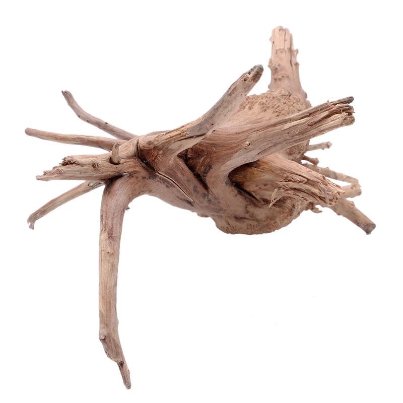 Dekoracja do akwarium i terrar – Planted Aquarium With Driftwood recenzja i cena