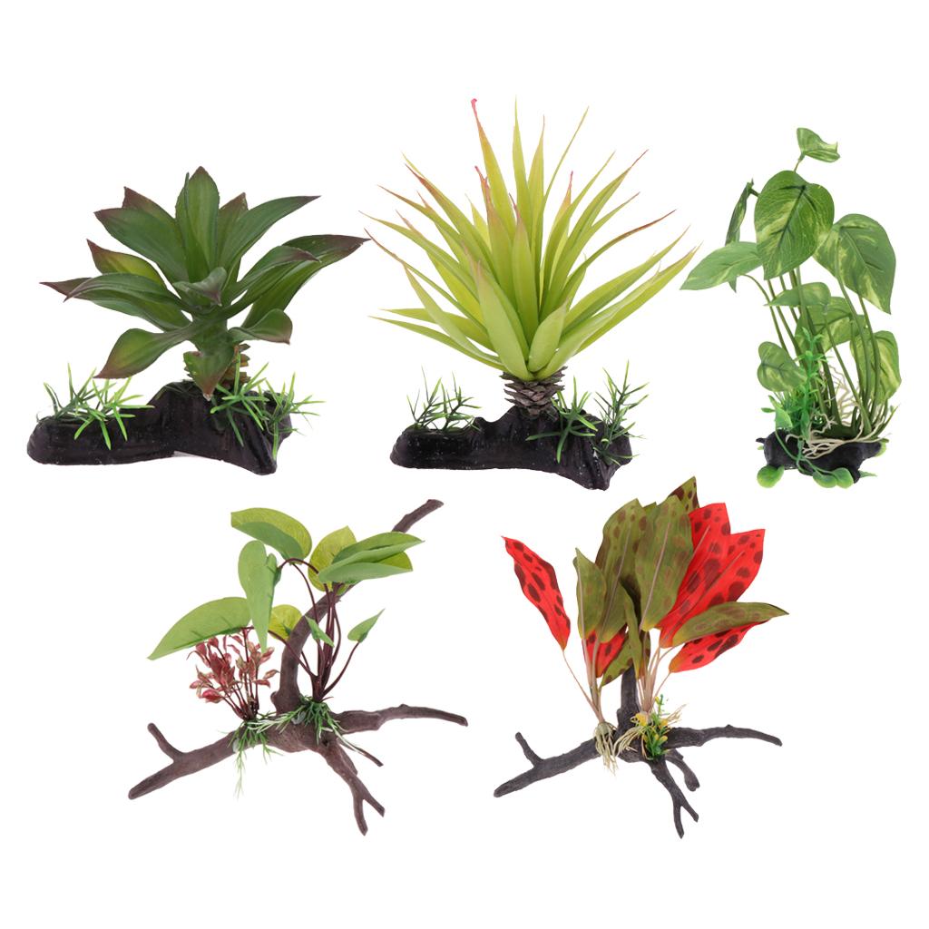 Roślina do terrarium dla gadów – Planted Aquarium Jungle recenzja i cena