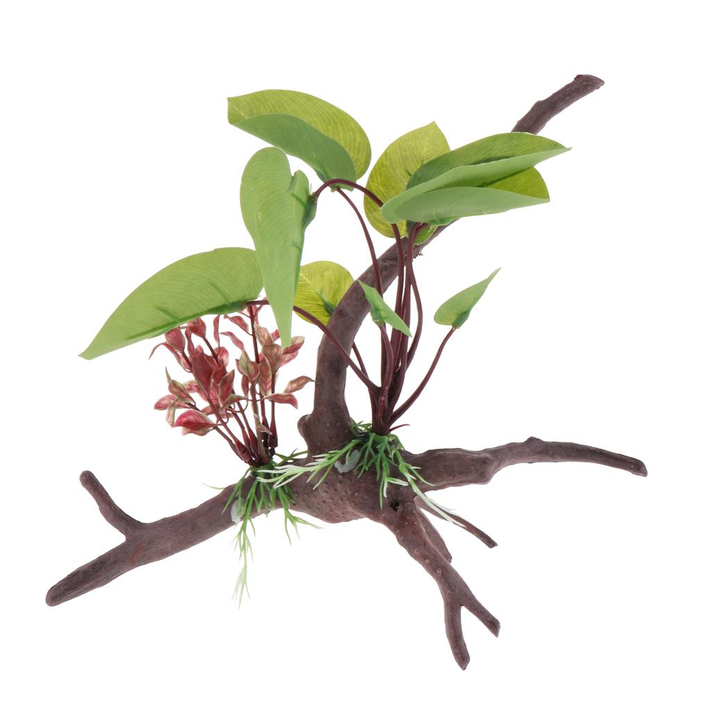 Roślina do terrarium dla gadów – Planted Aquarium Jungle recenzja i cena