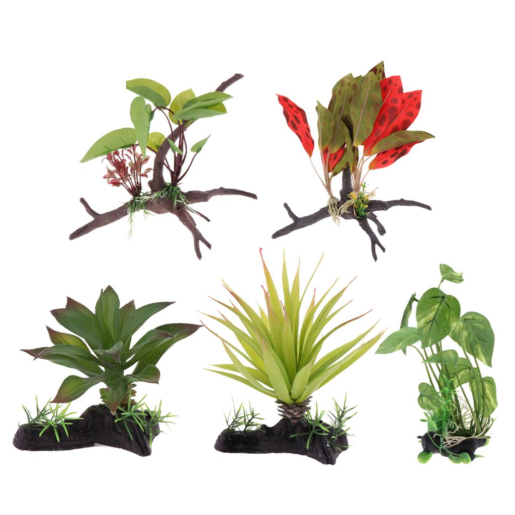 Roślina do terrarium dla gadów – Planted Aquarium Jungle recenzja i cena