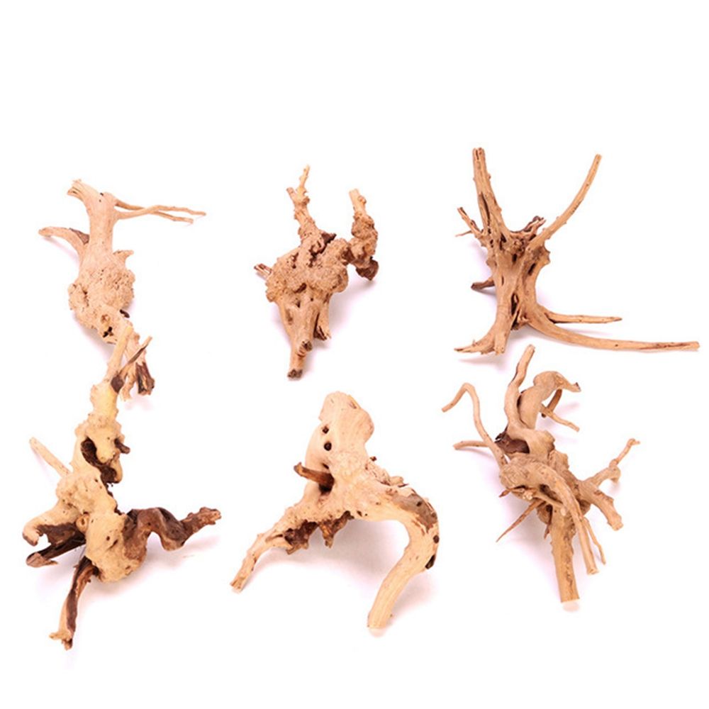 Drewno N1N Dekoracja do akwari – Planted Aquarium With Driftwood recenzja i cena
