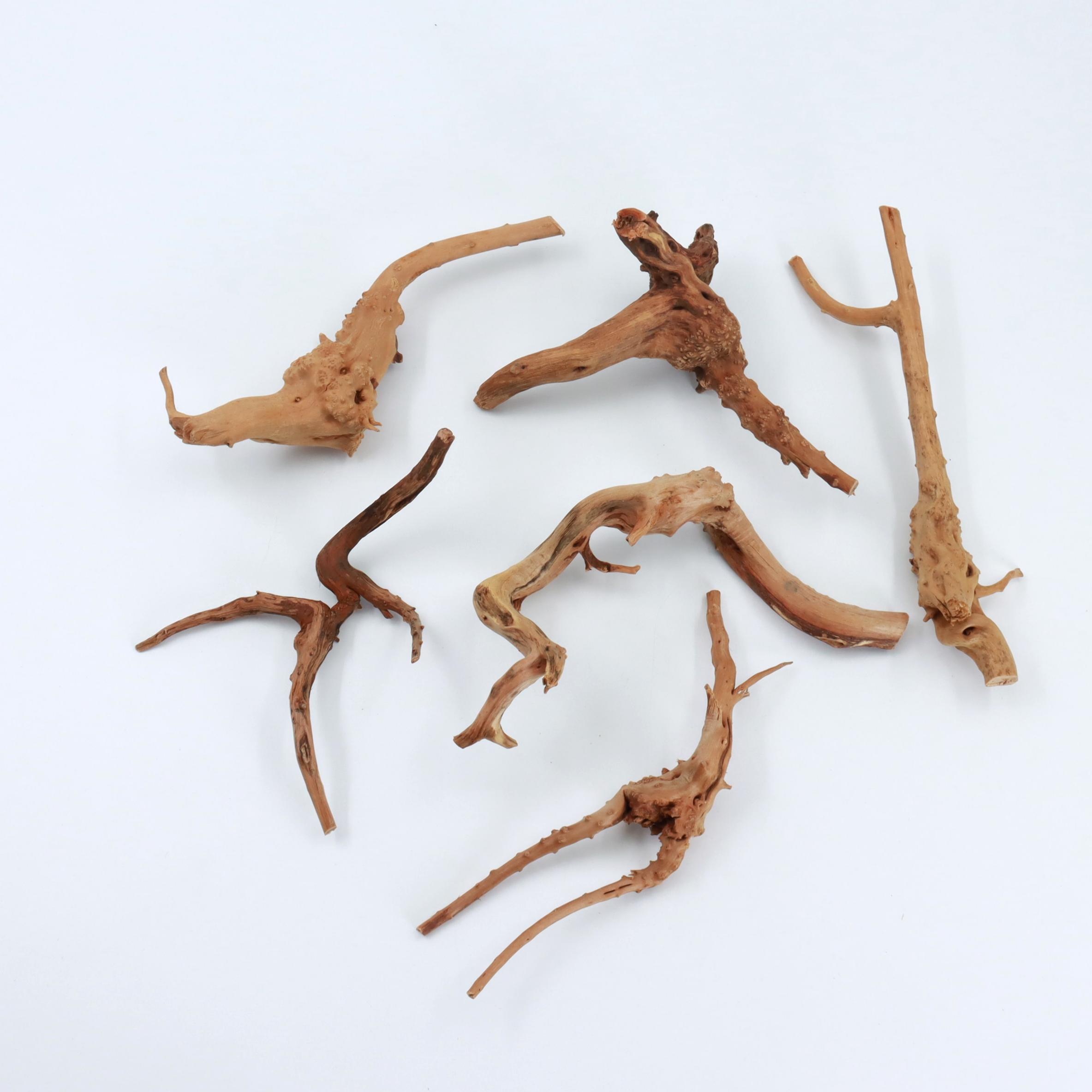 2 sztuki naturalnego małego dr – Planted Aquarium With Driftwood recenzja i cena