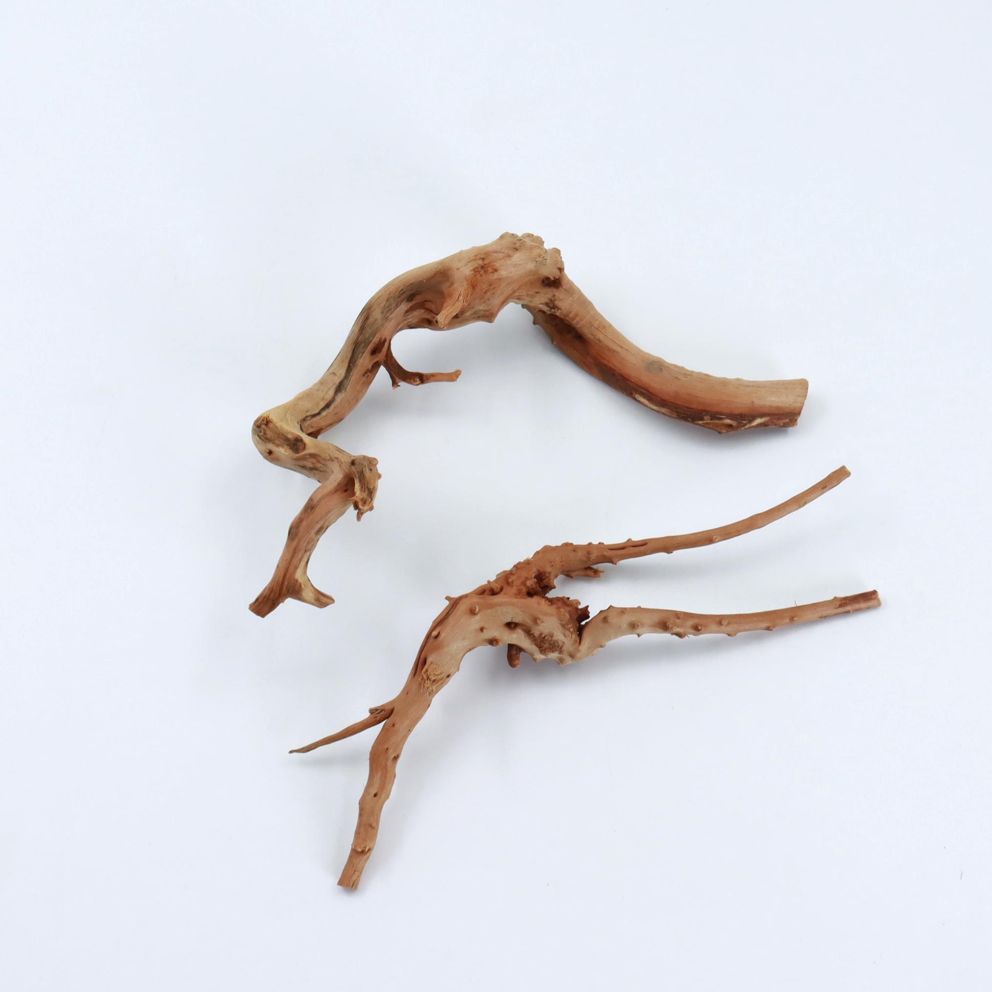 2 sztuki naturalnego małego dr – Planted Aquarium With Driftwood recenzja i cena