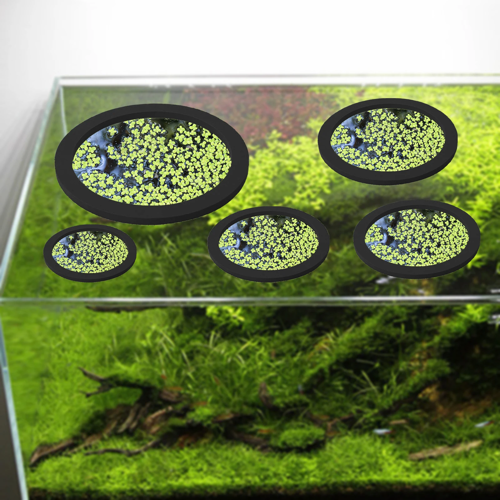 5Pcs EVA Pierścień do karmieni – Aquarium Planted recenzja i cena