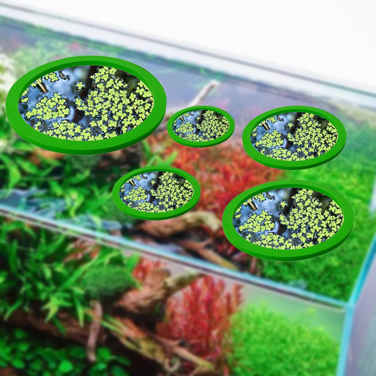 5Pcs EVA Pierścień do karmieni – Aquarium Planted recenzja i cena