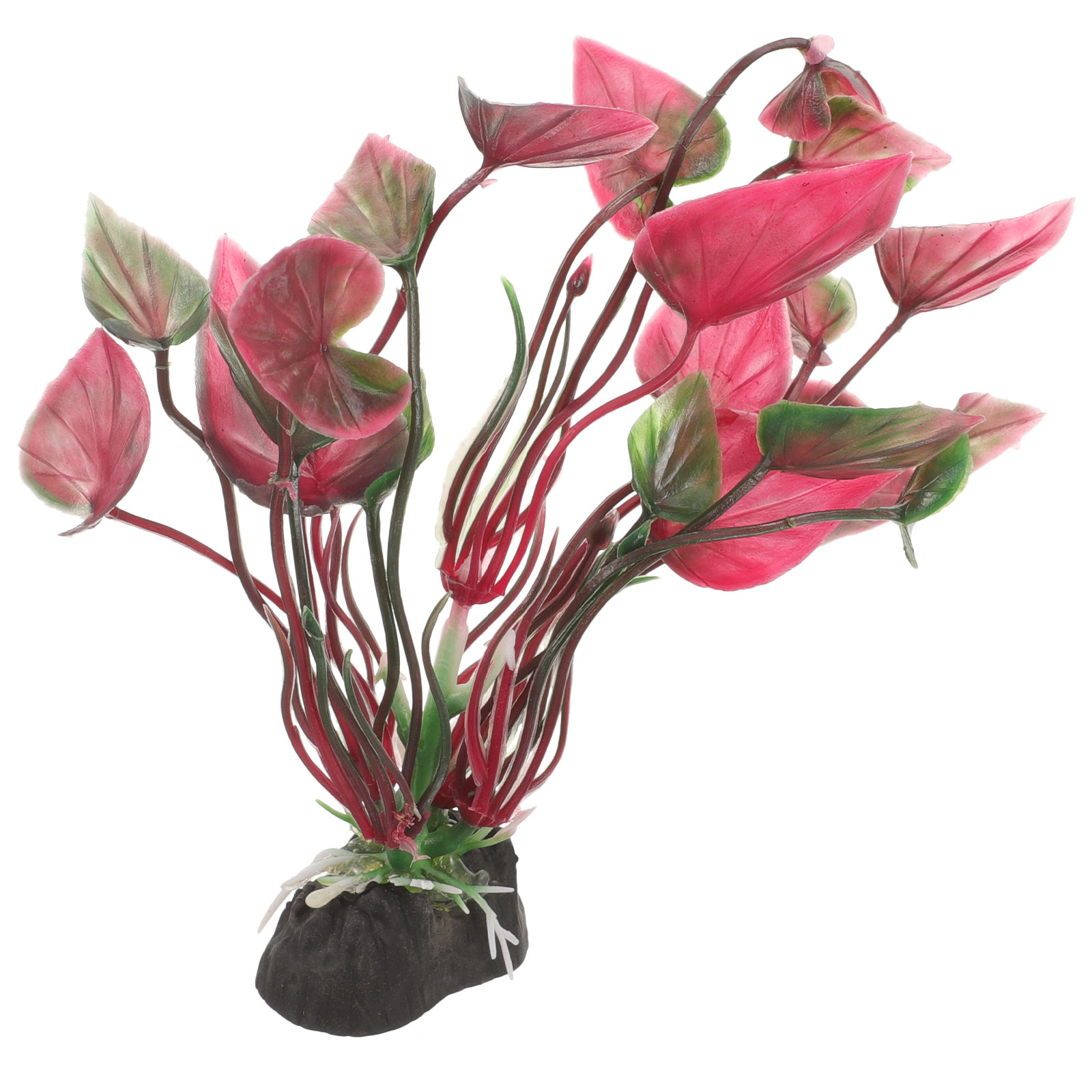 Realistyczne plastikowe roślin – Aquarium Planted Set Up recenzja i cena