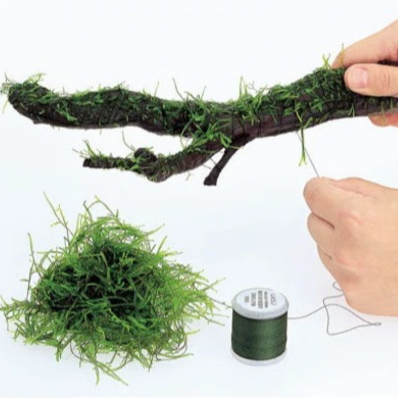 Biodegradowalna nić do akwariu – Planted Aquarium With Driftwood recenzja i cena