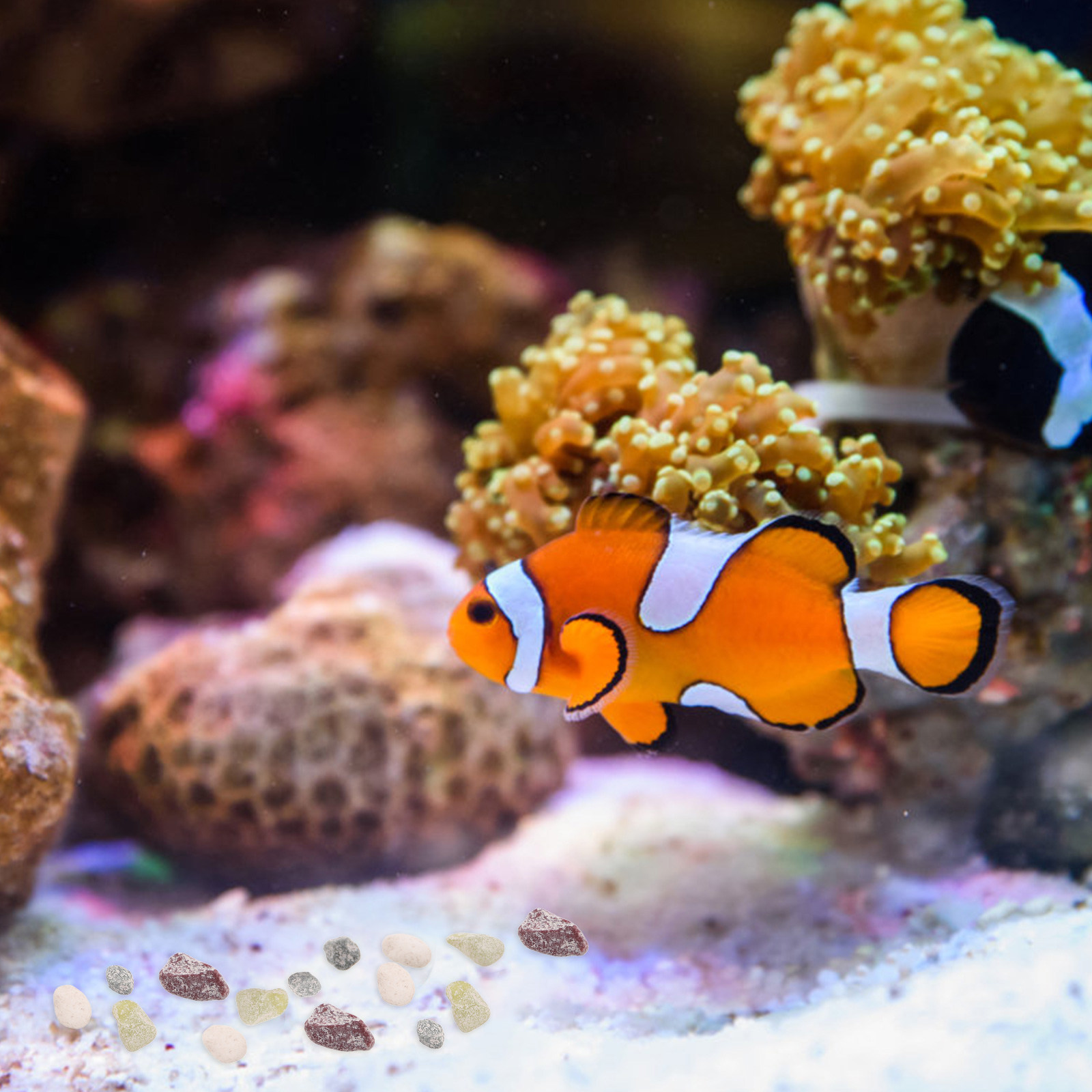 Żwir akwariowy, naturalne kami – Aquarium Plant Gravel recenzja i cena