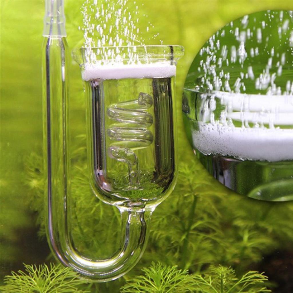 Wytrzymały szklany dyfuzor CO2 – Aquarium Planted Set Up recenzja i cena