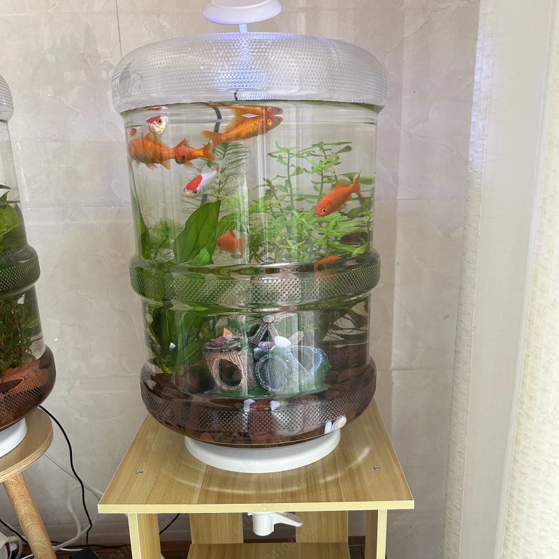 Akwarium domowe z natychmiasto – Aquarium Planted Set Up recenzja i cena