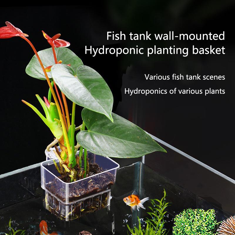 Kubek do hydroponicznego upraw – Aquarium Planted Set Up recenzja i cena