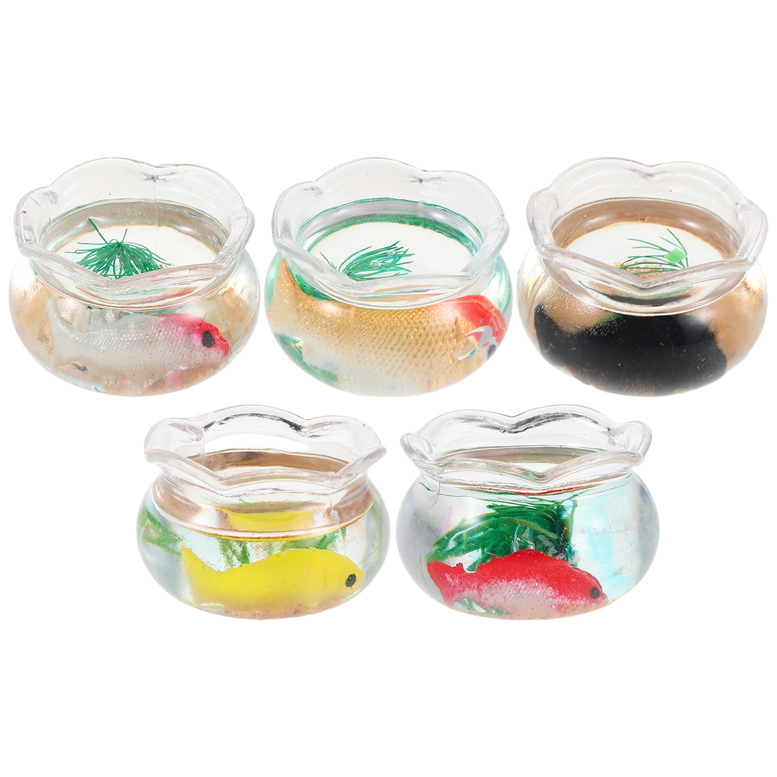 5 szt. miniaturowych akwariów  – Aquarium Planted recenzja i cena